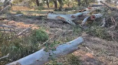 San Carlos: hacía tareas de desmonte y murió al caérsele encima un árbol